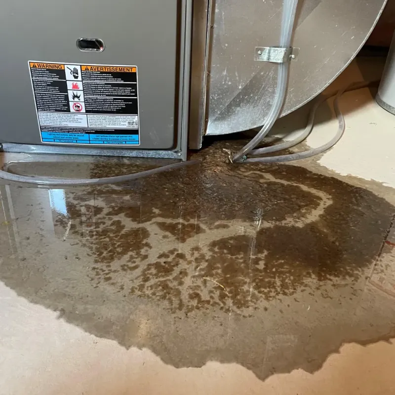 Appliance Leak Cleanup in Fern Acres, HI