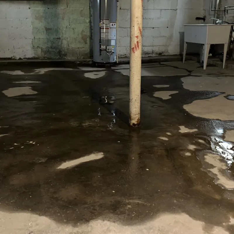 Emergency Water Extraction And Removal in Fern Acres, HI